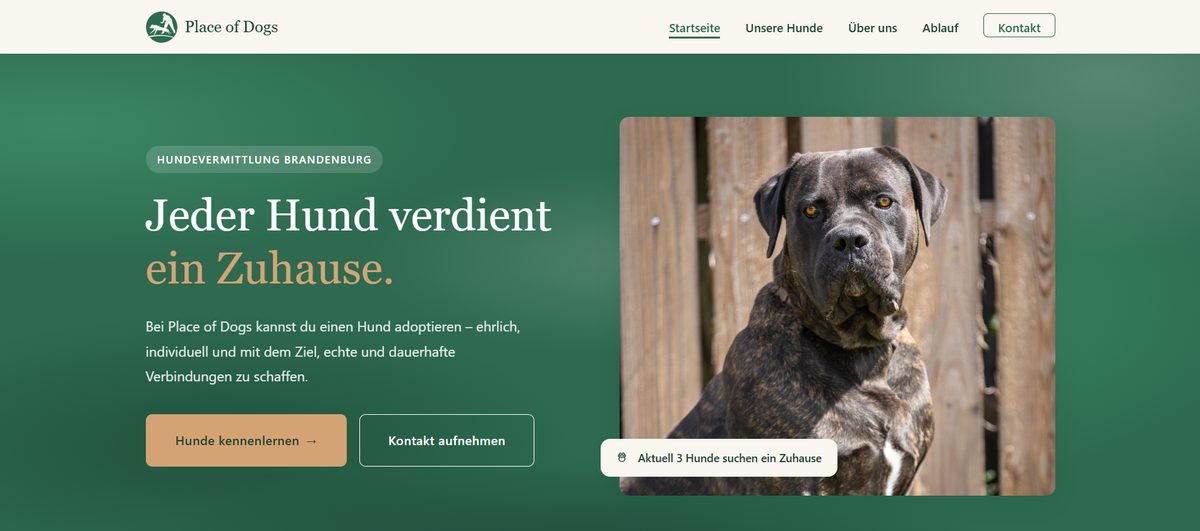Website-Referenz Place of Dogs, Hundevermittlung Brandenburg